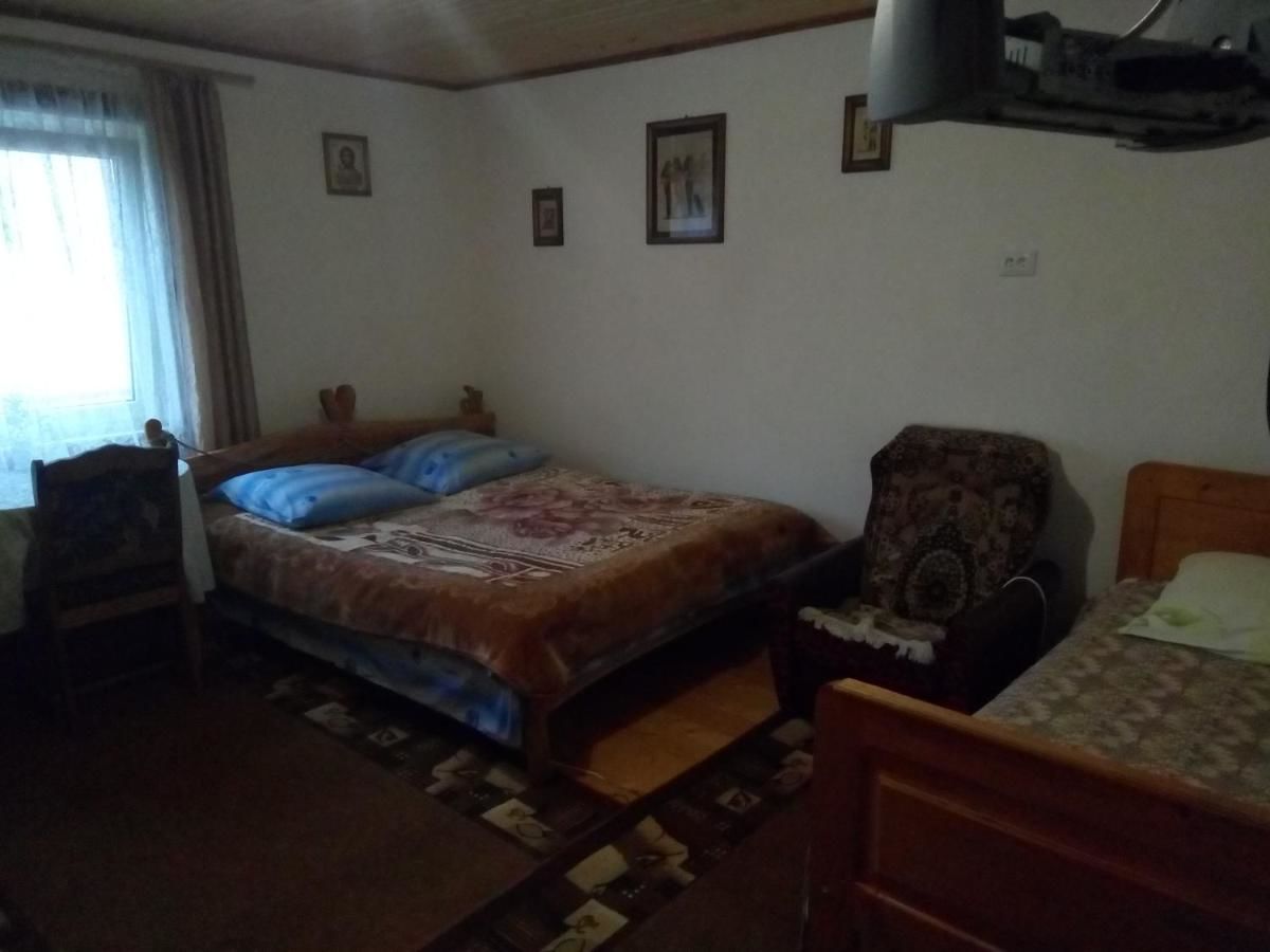 Проживание в семье Едельвейс Славское